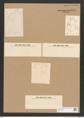 Diatomeae indet. Zeichnungen Sammlung Grunow Nr. 3772 (NHMW-BOT-W0371435)